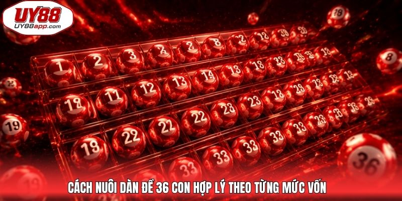 Cách nuôi dàn đề 36 con hợp lý theo từng mức vốn