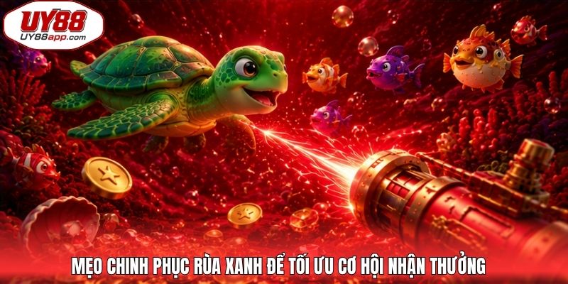 Mẹo chinh phục rùa xanh để tối ưu cơ hội nhận thưởng